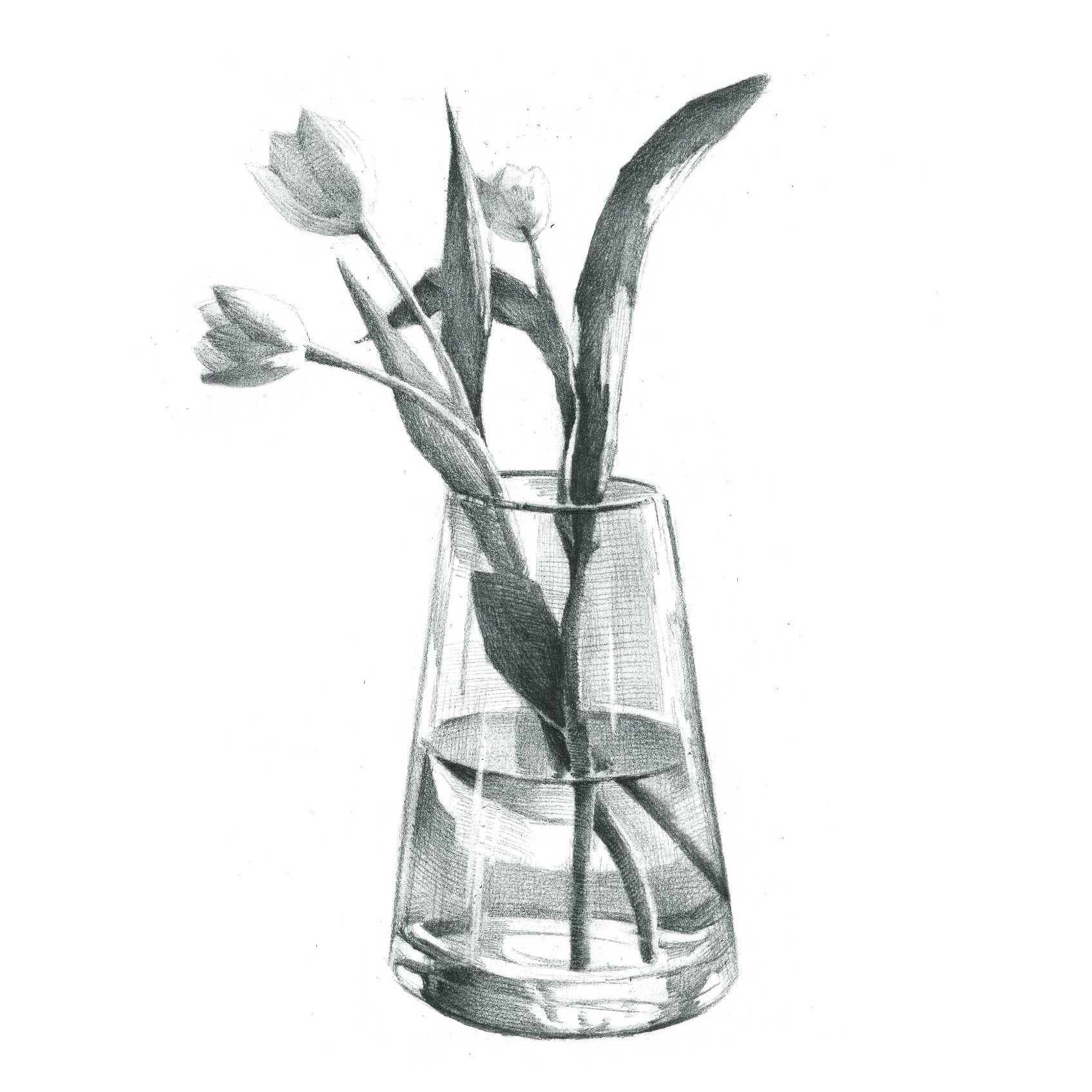 花瓶塑造《透明花瓶》素描43-系列课程-美术宝1对1